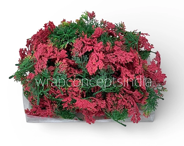 Green Fern Leaves with Red Edges