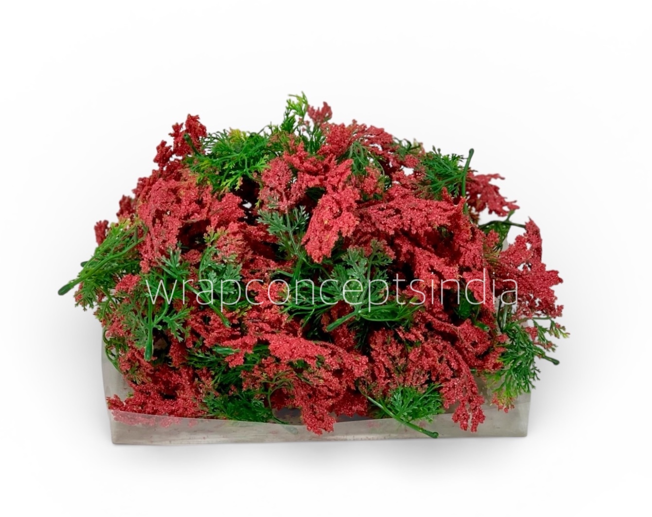 Green Fern Leaves with Red Edges