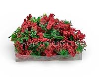Green Fern Leaves with Red Edges