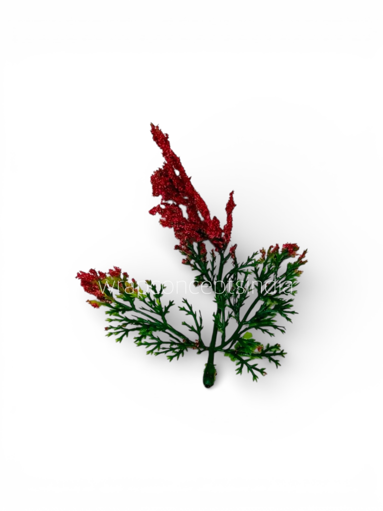 Green Fern Leaves with Red Edges
