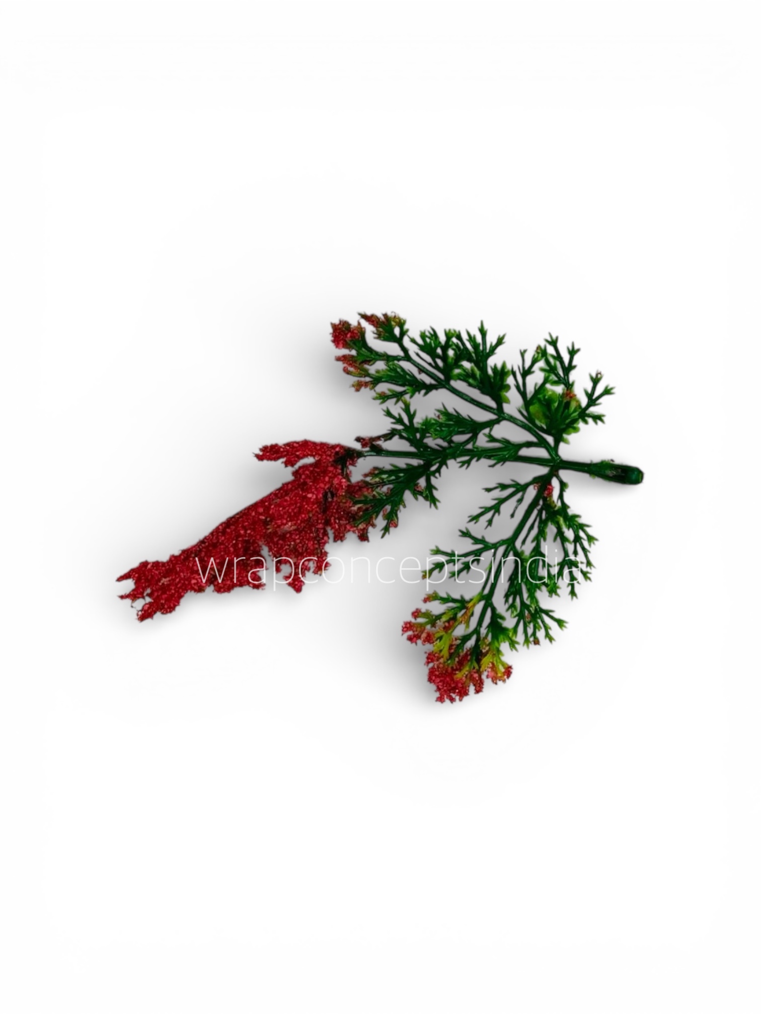 Green Fern Leaves with Red Edges