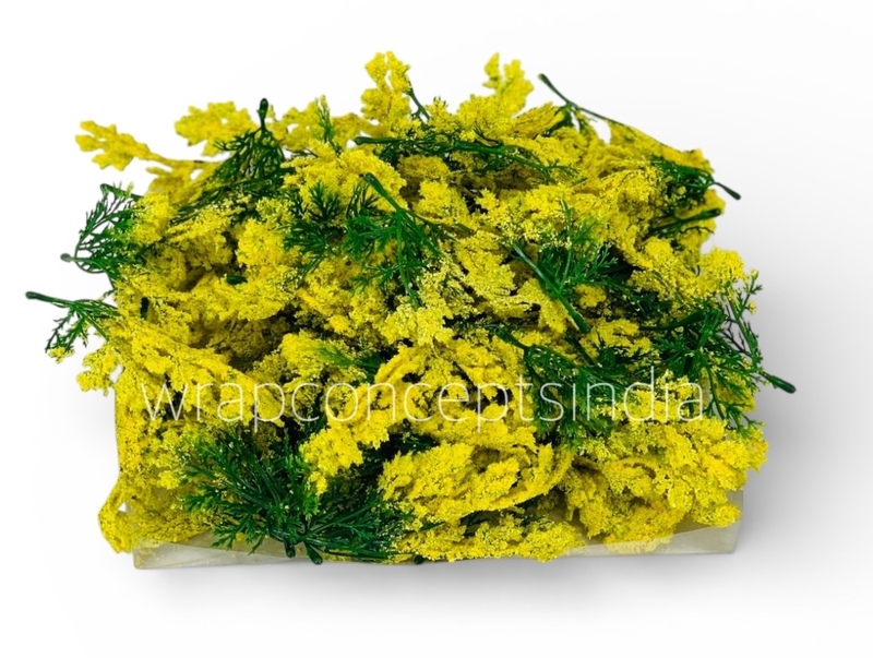 Green Fern Leaves with Yellow Edges