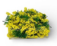 Green Fern Leaves with Yellow Edges