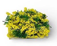 Green Fern Leaves with Yellow Edges