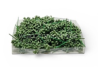 Meadow Bud Leaf Filler