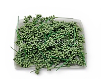 Meadow Bud Leaf Filler