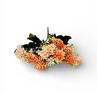 Small Carnations Bunch