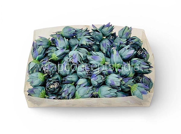 Bell Flower - Cobalt Blue