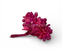 Magenta Pollens