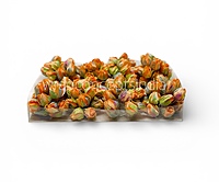 Tangerine Buds on Stick