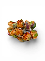 Tangerine Buds on Stick