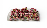 Blush  Buds on Stick