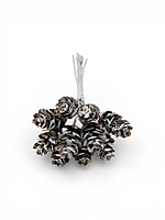 Small Pine Cone on Stick