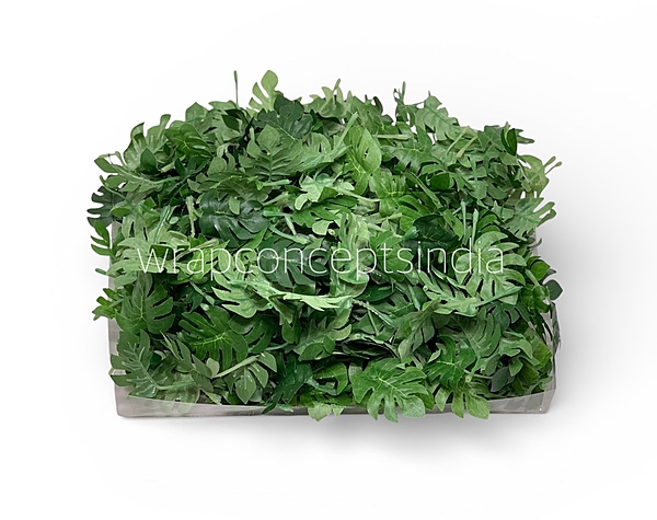 Small Monstera Leaves