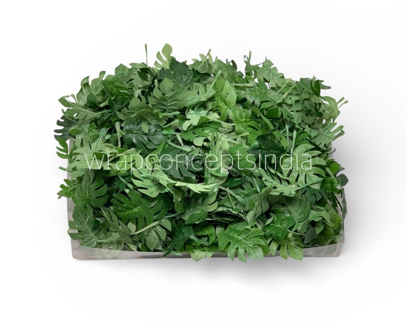 Small Monstera Leaves