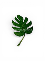 Small Monstera Leaves