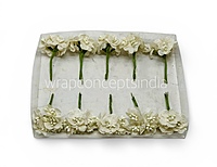 Ivory Luxe Jute Flower With Pollens