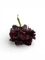 Wine Luxe Jute Flower With Pollens