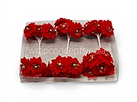 Regal Red Blossom