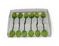Leaves On stick- Multicolour