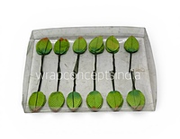 Leaves On stick- Multicolour
