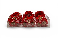 Imperial Scarlet Blossom