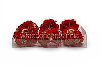 Imperial Scarlet Blossom