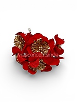 Imperial Scarlet Blossom