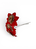 Velvet Red Starburst Flower