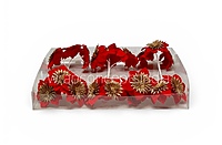 Velvet Red Starburst Flower