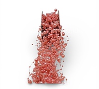Pearl String - Coral (Pack of 50)
