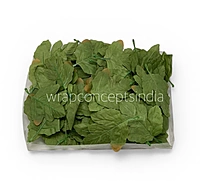 Forest Crown Leaves