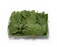 Forest Crown Leaves