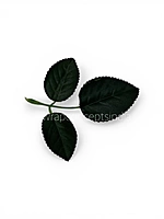 Rose Plant Leaves Pack