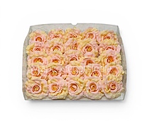 Rose Custard Open Rose