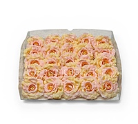 Rose Custard Open Rose