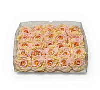 Rose Custard Open Rose