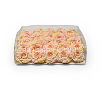 Rose Custard Open Rose