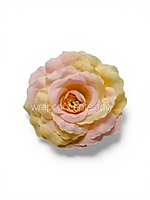 Rose Custard Open Rose