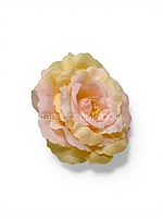 Rose Custard Open Rose