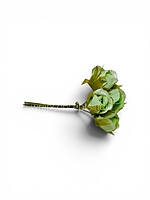 Pistachio Rose Buds on Stick