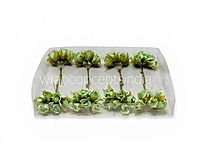 Pistachio Rose Buds on Stick