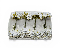 Pearl Touch White Rose Flowers