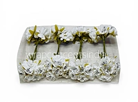 Pearl Touch White Rose Flowers