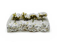 Pearl Touch White Rose Flowers