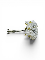 Pearl Touch White Rose Flowers