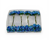 Sapphire Blue Blossom Flowers