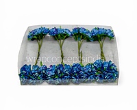 Sapphire Blue Blossom Flowers