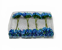 Sapphire Blue Blossom Flowers