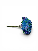 Sapphire Blue Blossom Flowers